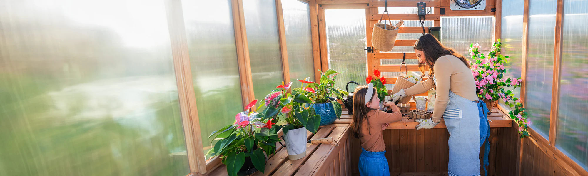 02_greenhouse-webbanner-desktop.webp